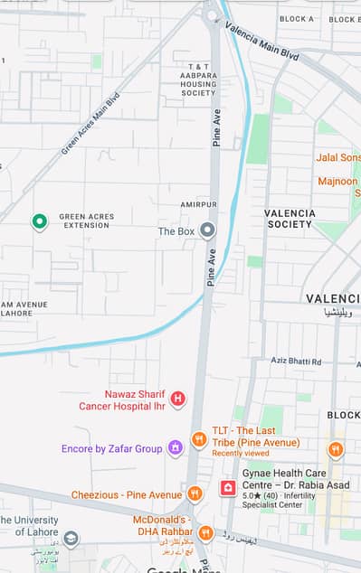13 Marla Pine Avenue Commercial Plot Is Available For Sale