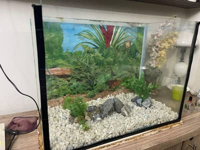 aquarium for sale mint condition