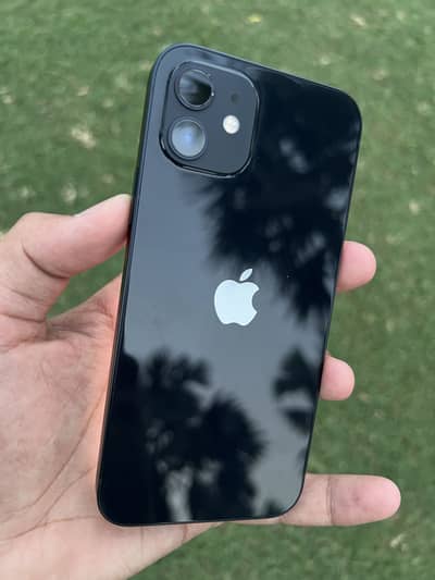 Apple iPhone 12