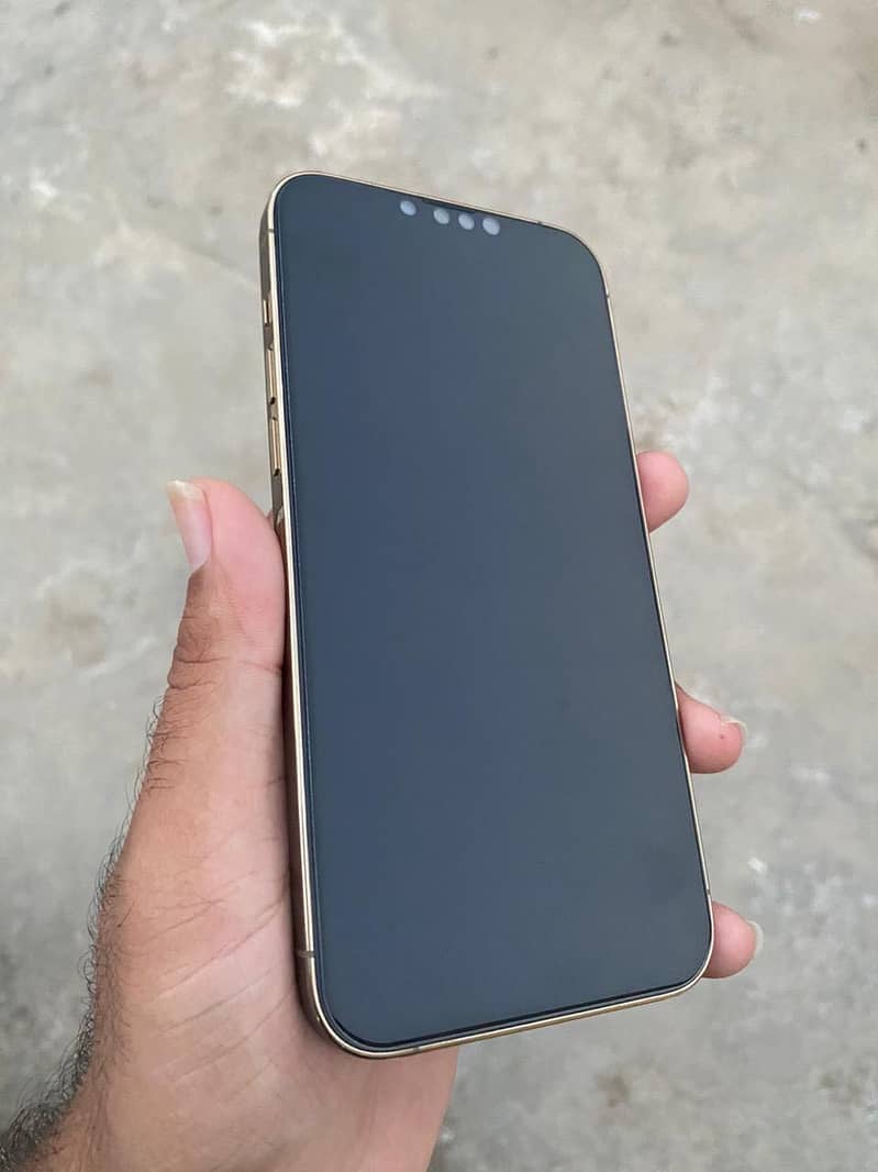 Apple iPhone 13 Pro Max 0