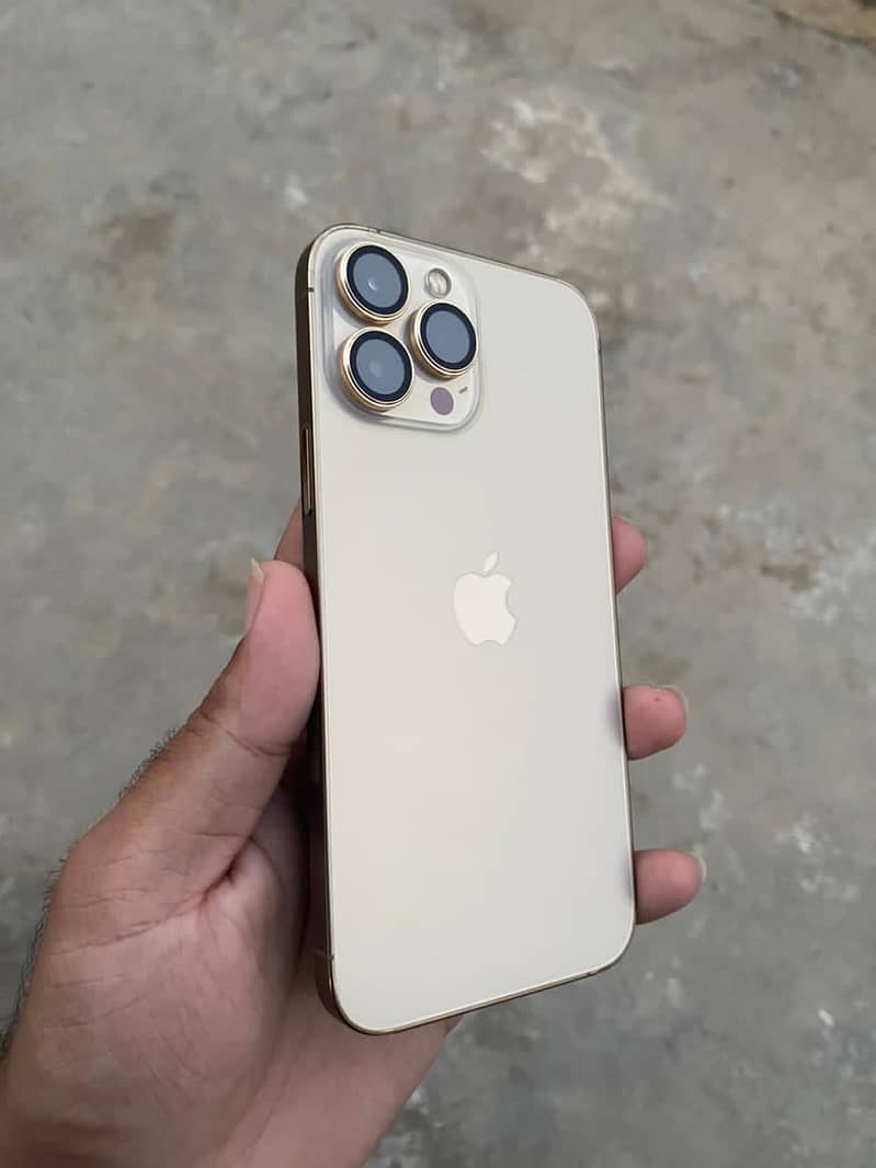 Apple iPhone 13 Pro Max 2