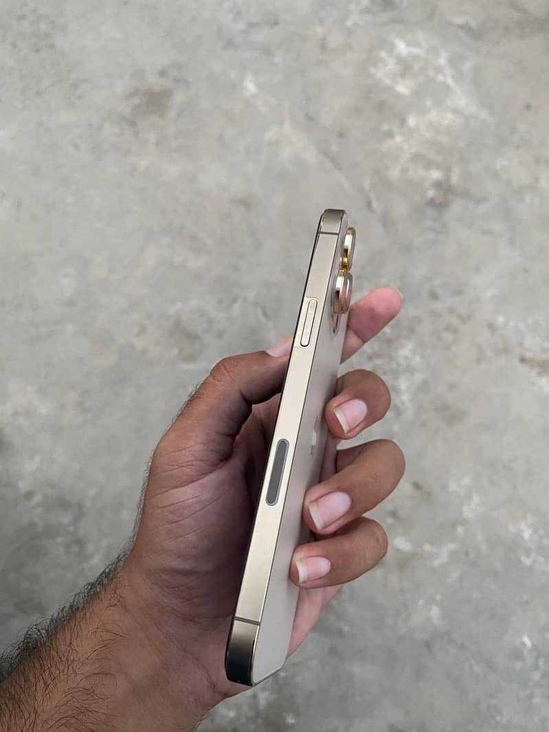 Apple iPhone 13 Pro Max 3