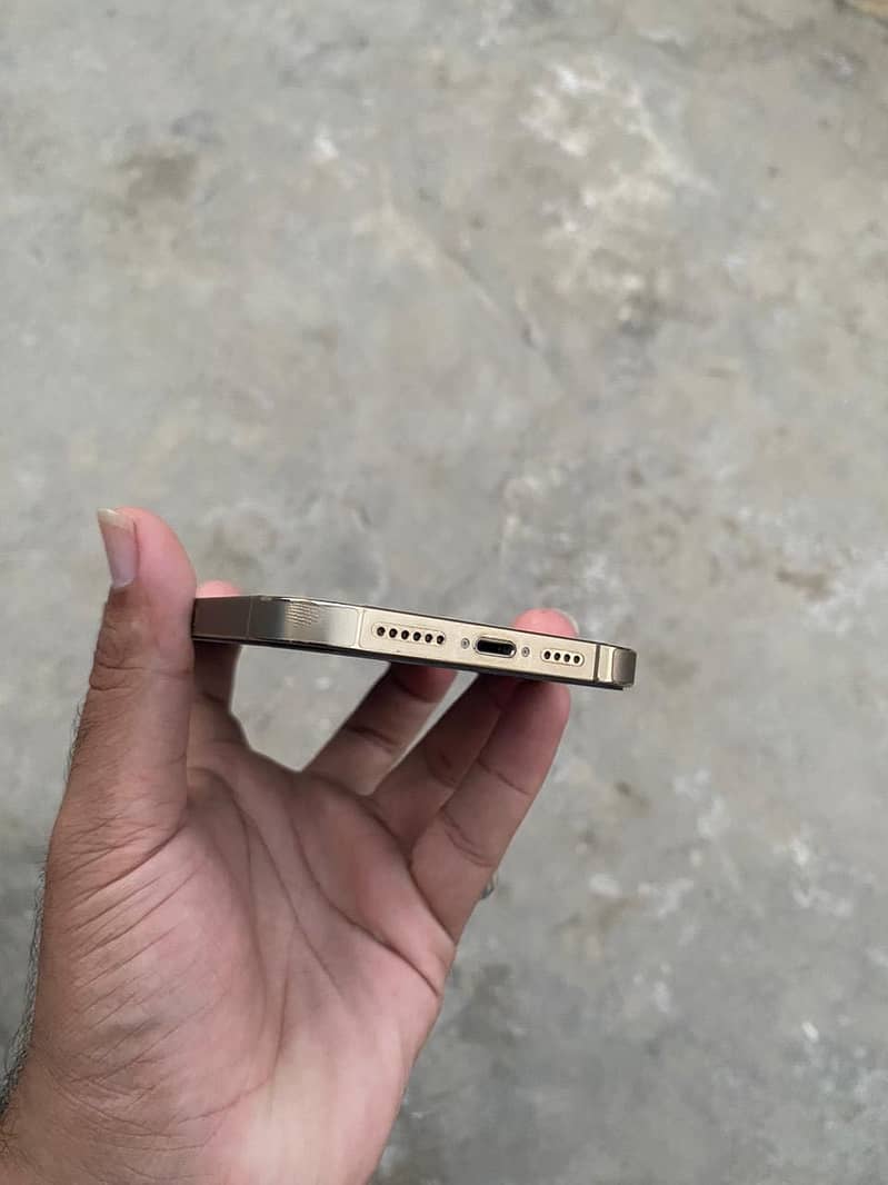 Apple iPhone 13 Pro Max 4