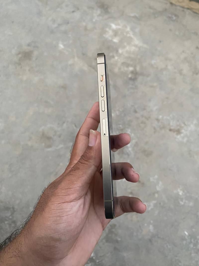 Apple iPhone 13 Pro Max 5