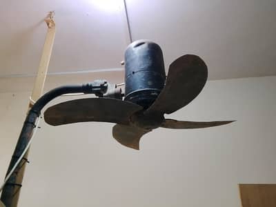 fan arjunt sale