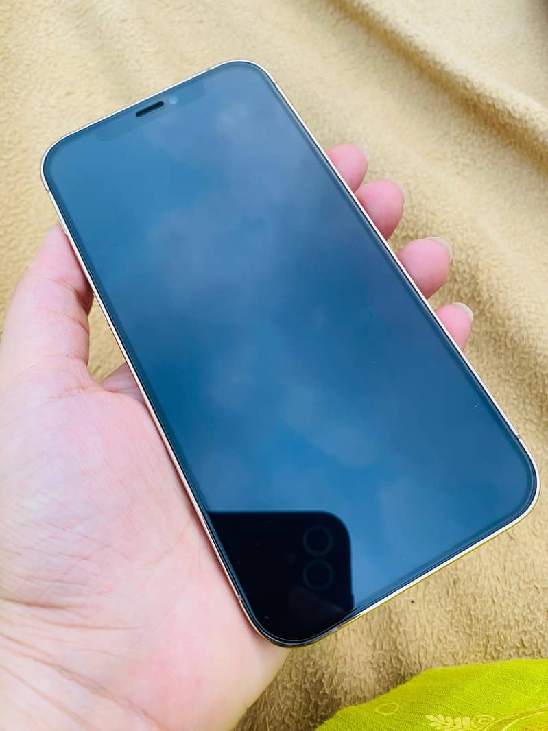 Apple iPhone 12 Pro 4