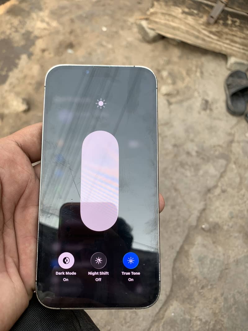 Apple iPhone 13 Pro Max 1