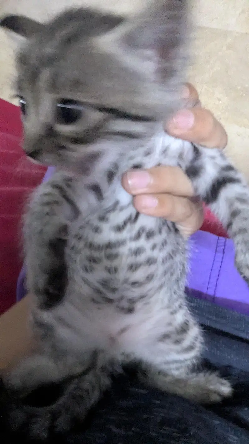 5 cute little babies — photo 3