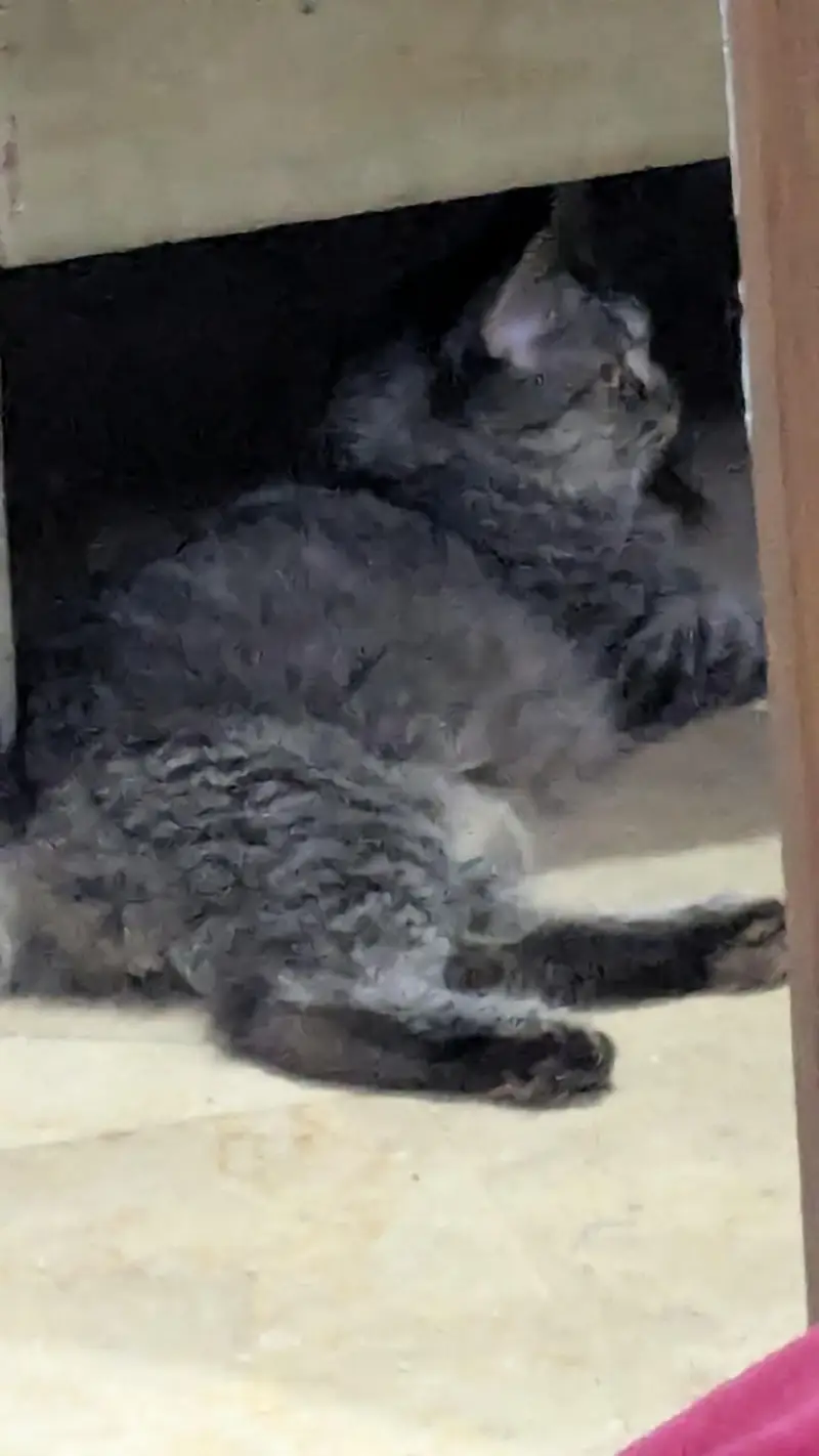 5 cute little babies — photo 4
