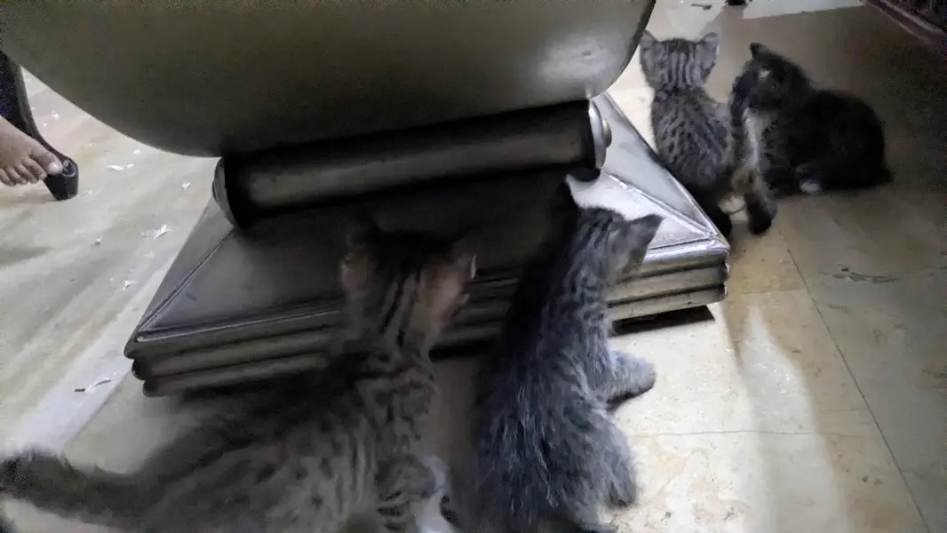 5 cute little babies — photo 5