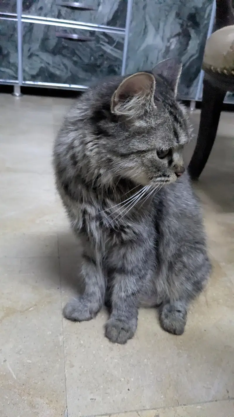 5 cute little babies — photo 2