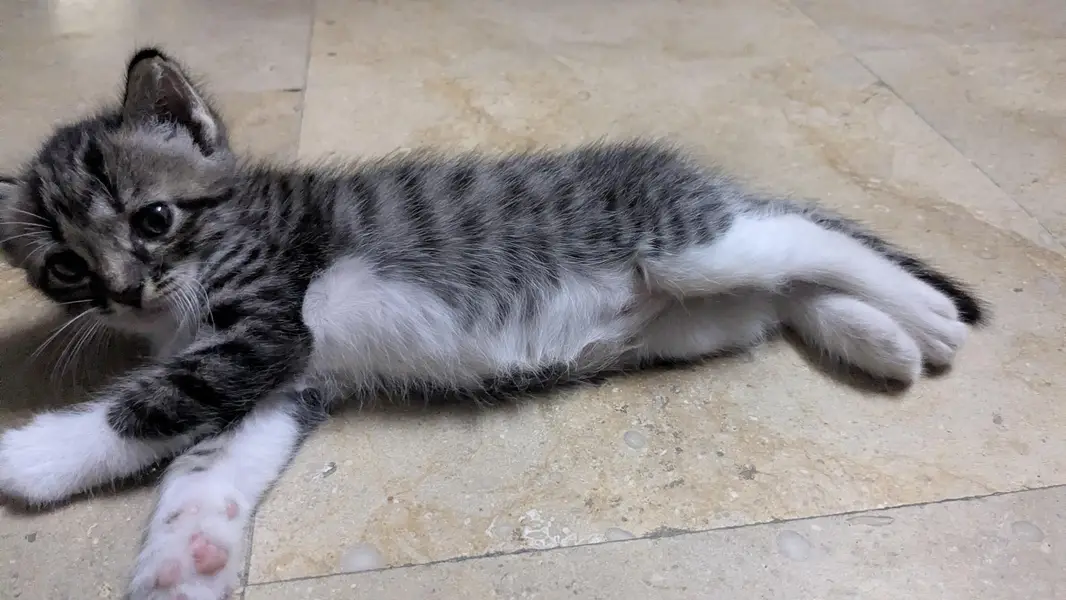 5 cute little babies — photo 7