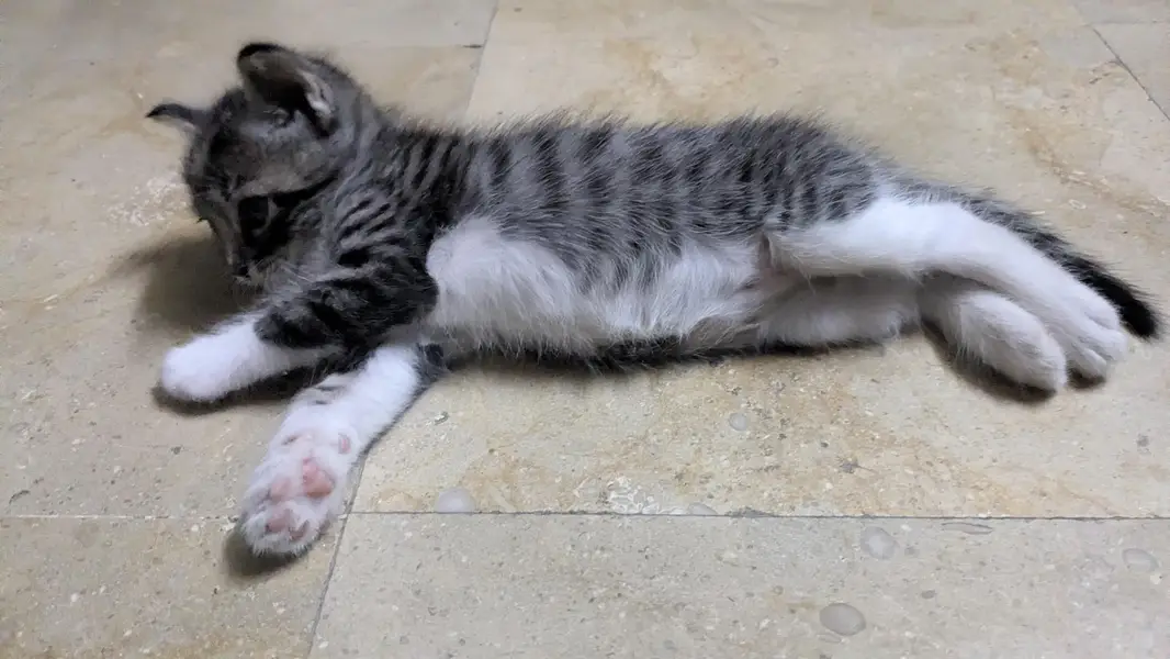 5 cute little babies — photo 8
