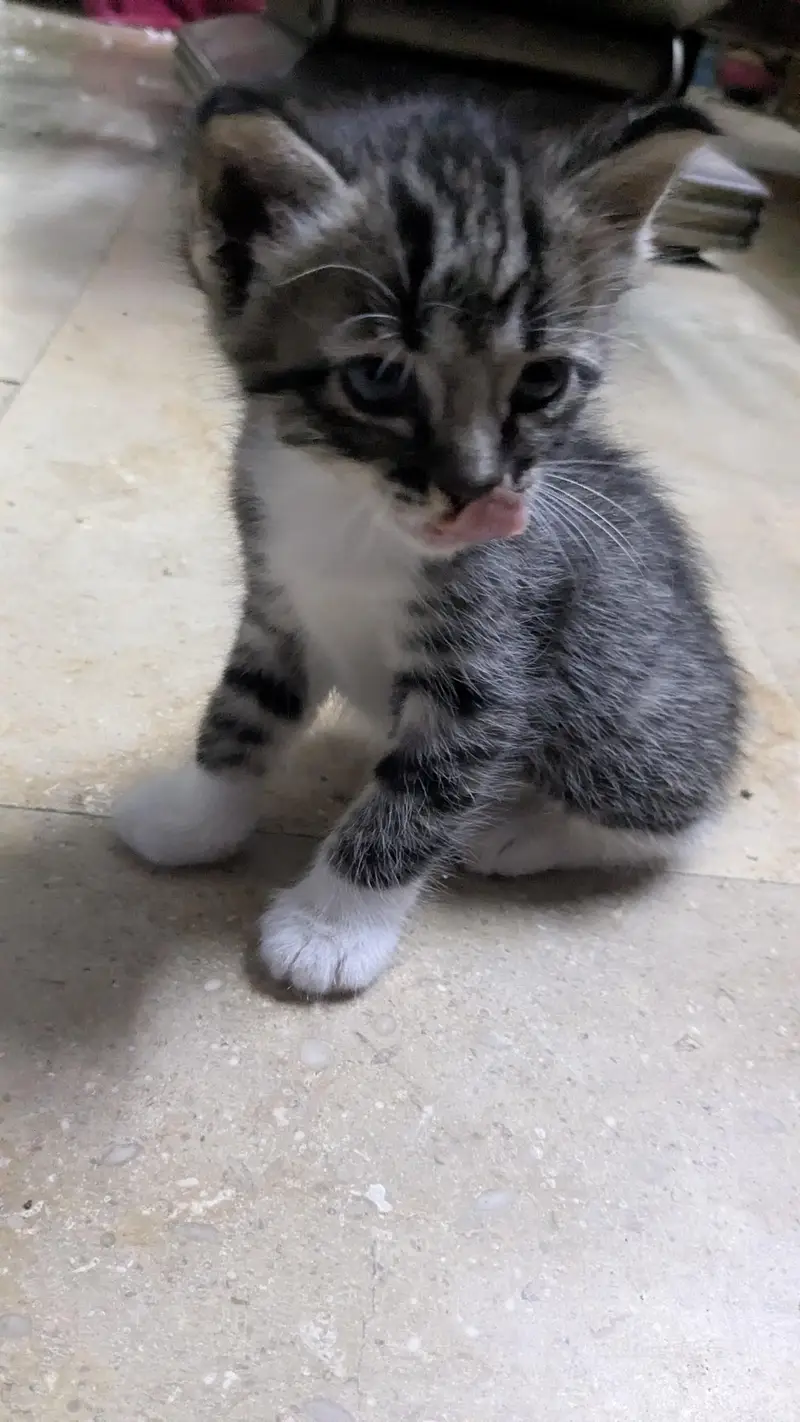 5 cute little babies — photo 9