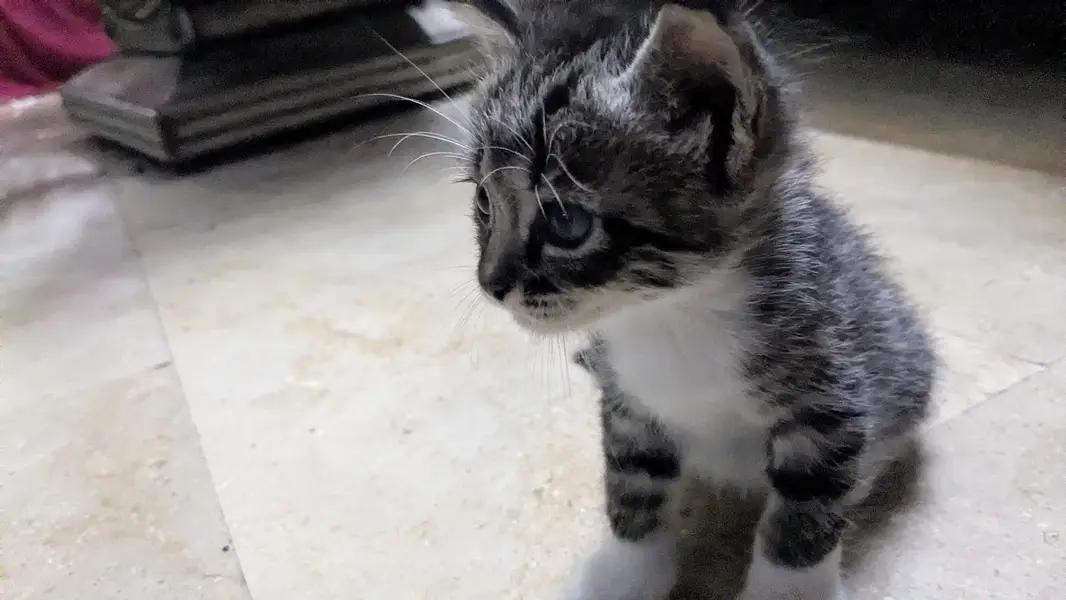 5 cute little babies — photo 11