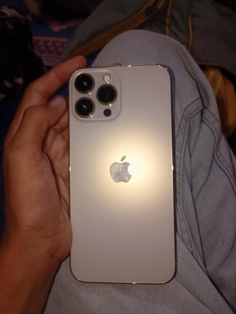 Apple iPhone 13 Pro Max 1