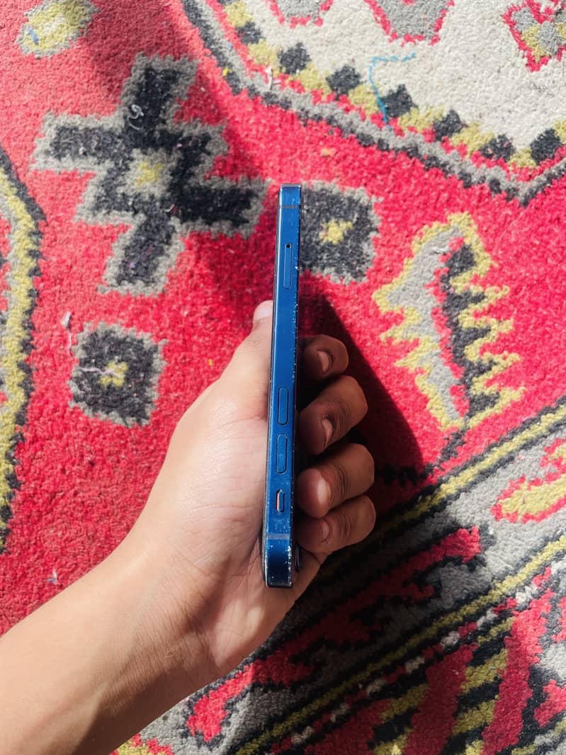 Apple iPhone 12 mini 1