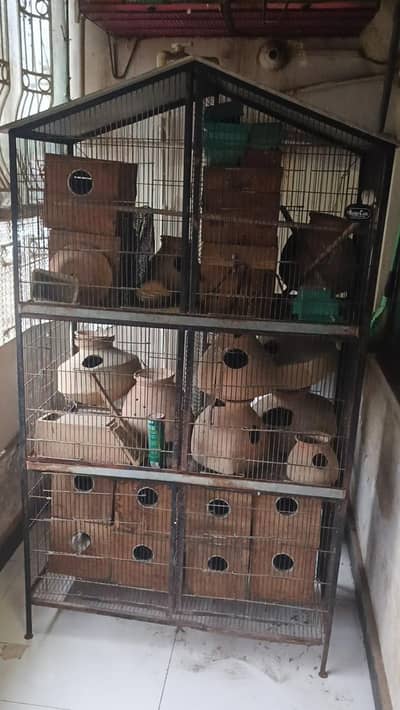 6 portion cage for sale