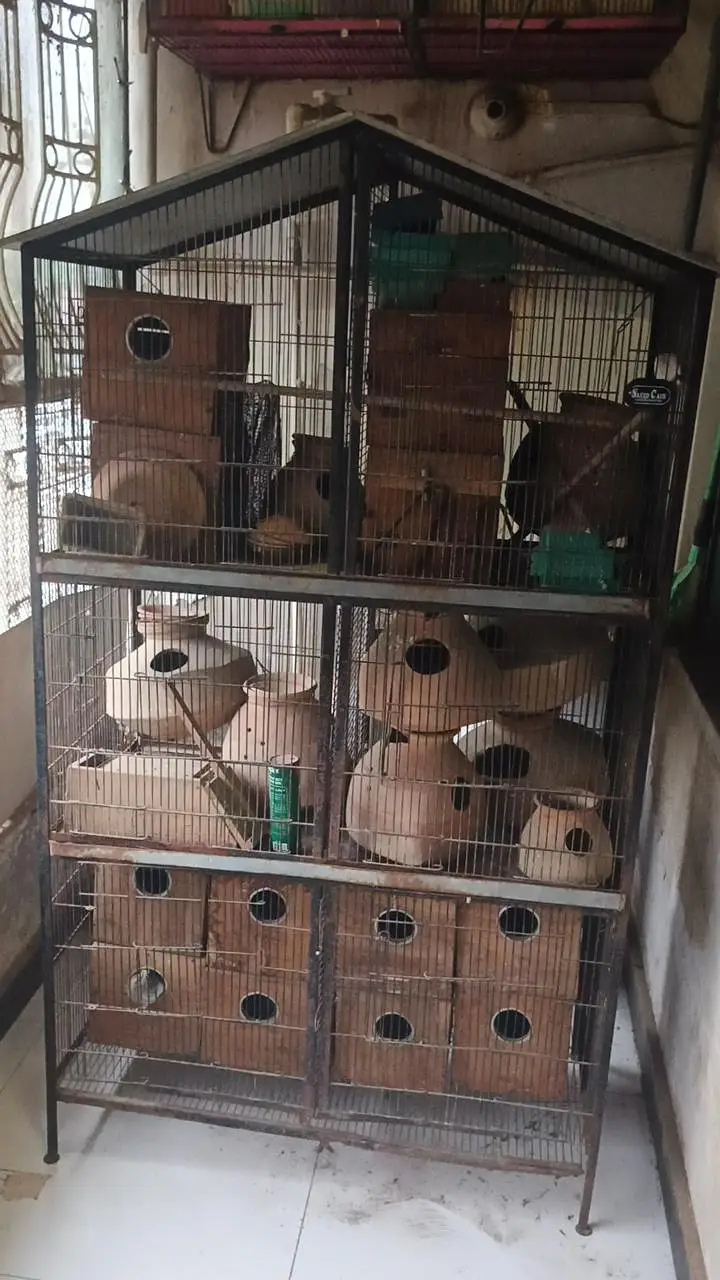 6 portion cage for sale — photo 2