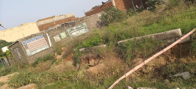 Resident Plot