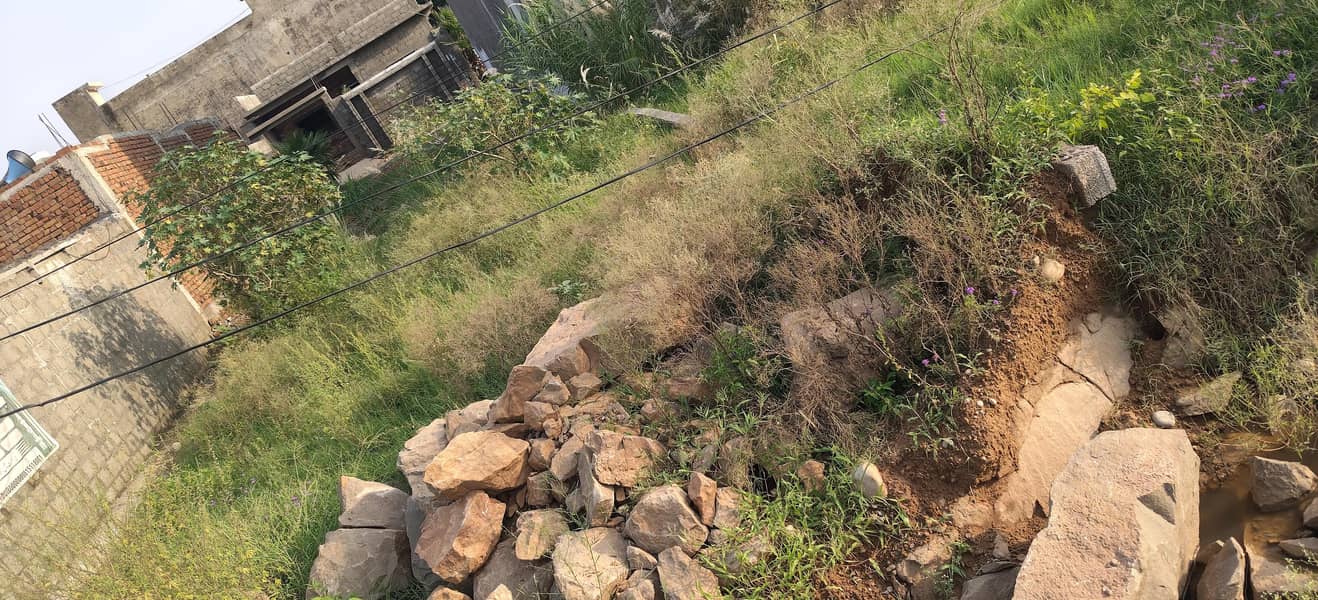 Resident Plot 1