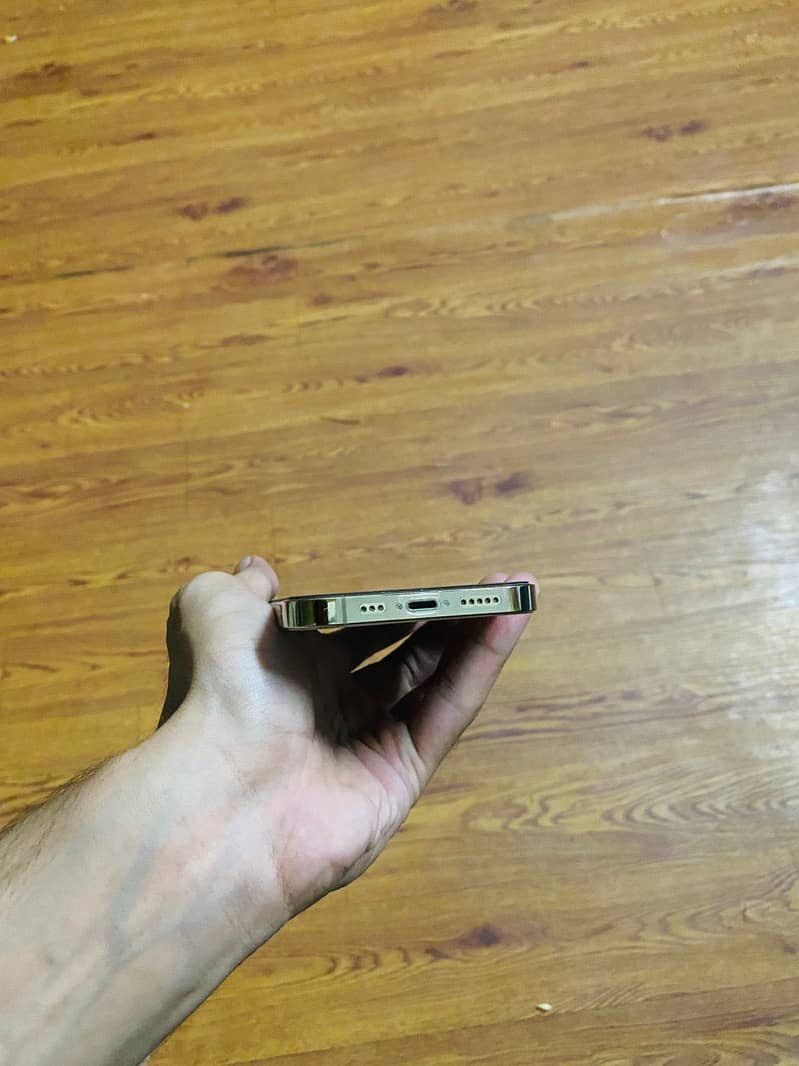 Apple iPhone 13 Pro 1