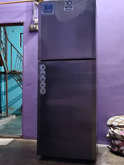 Pel Jumbo freezer