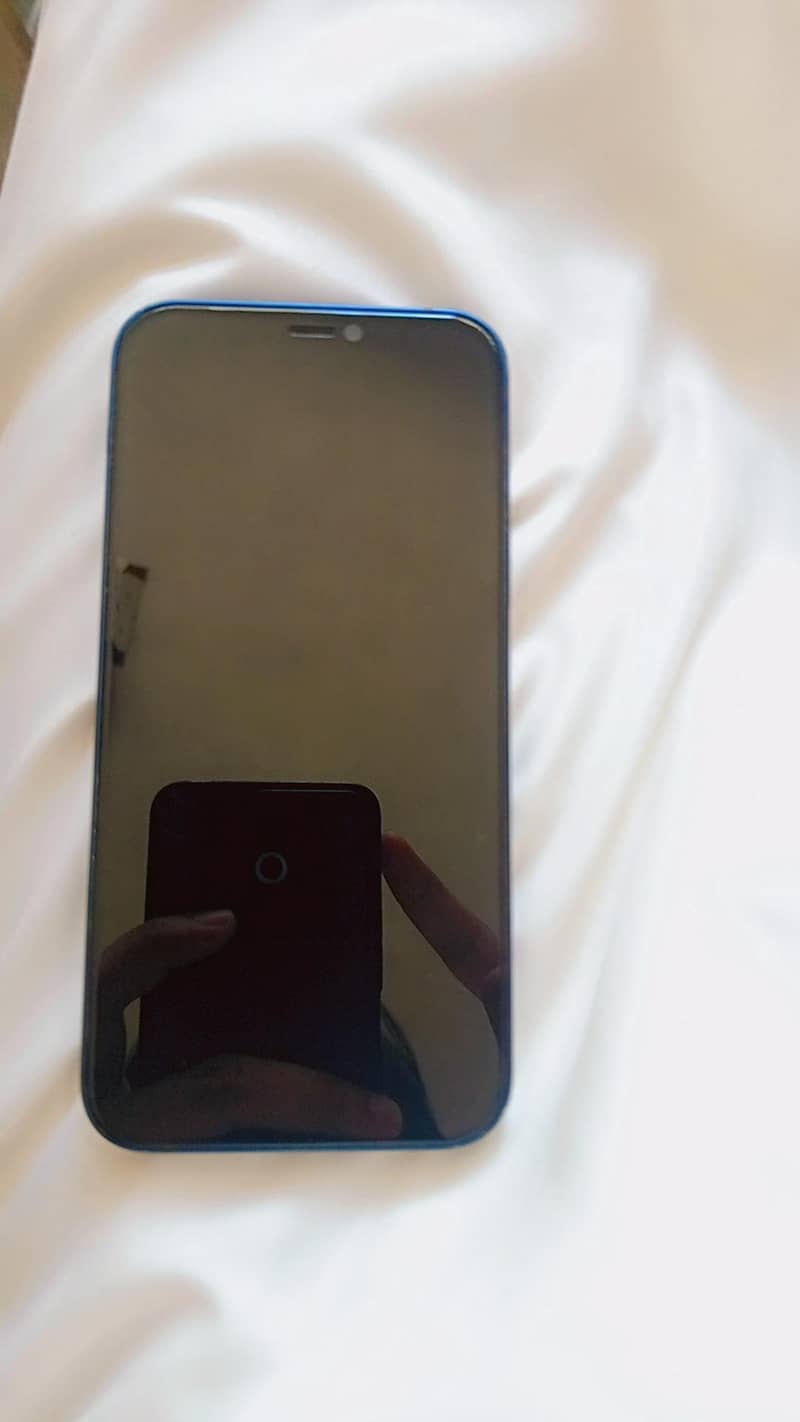 Apple iPhone 12 1