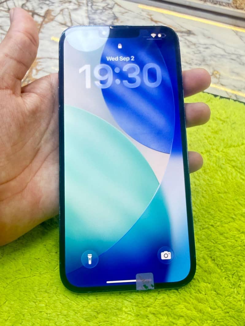 Apple iPhone 13 Pro Max 1