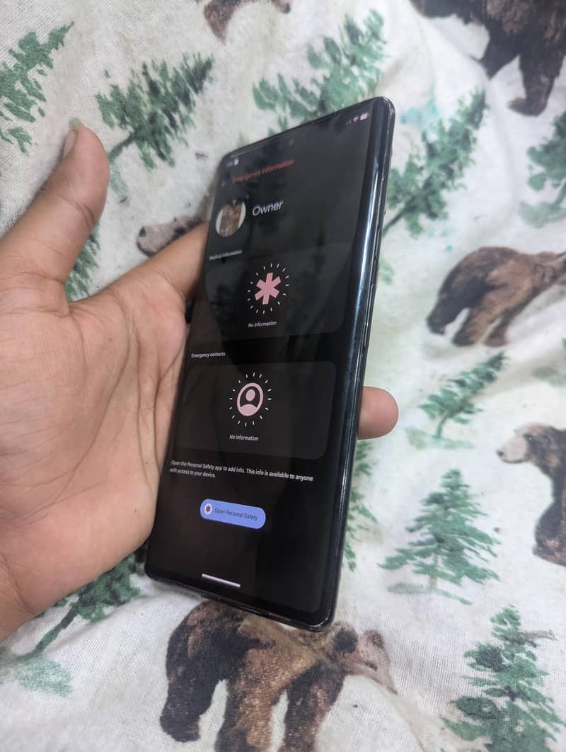 Google Pixel 6 Pro 3