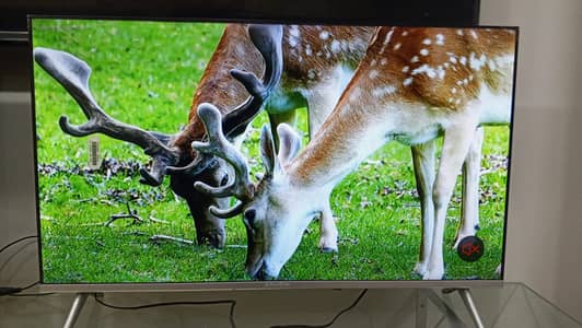 ecostar 32 inch Smart tv
