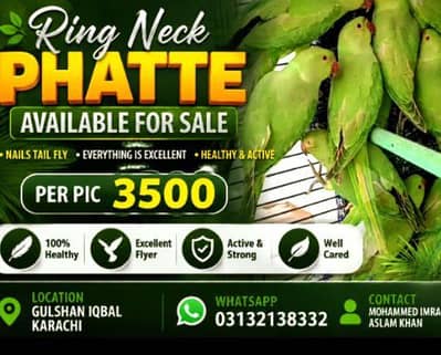 Ring neck phatte