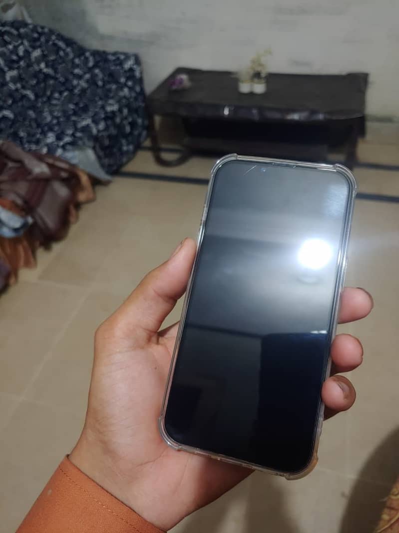 Apple iPhone 13 12