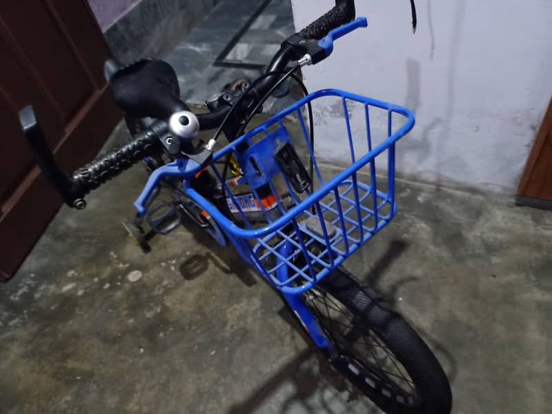 bicycle 2