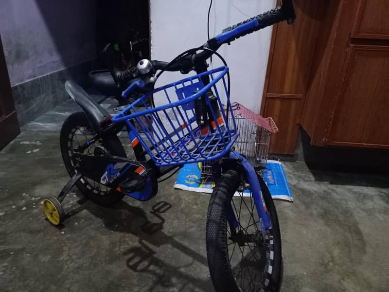bicycle 5