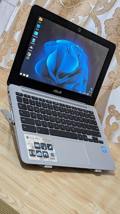 Asus Chromebook C300M