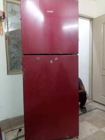Hair Refrigerator Used | but New Condition