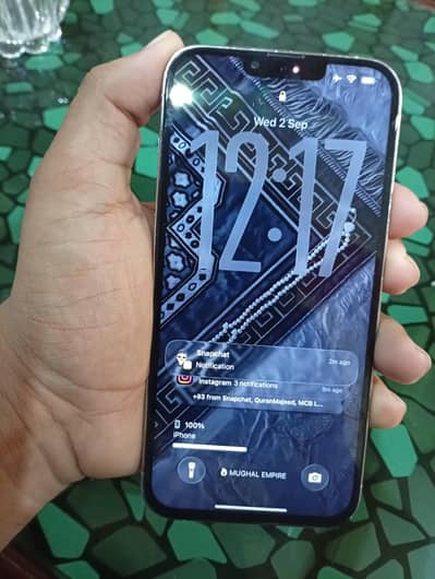 iPhone 13 Pro Max factory unlocked