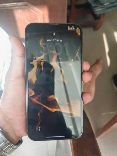 Apple iPhone 13 Pro Max