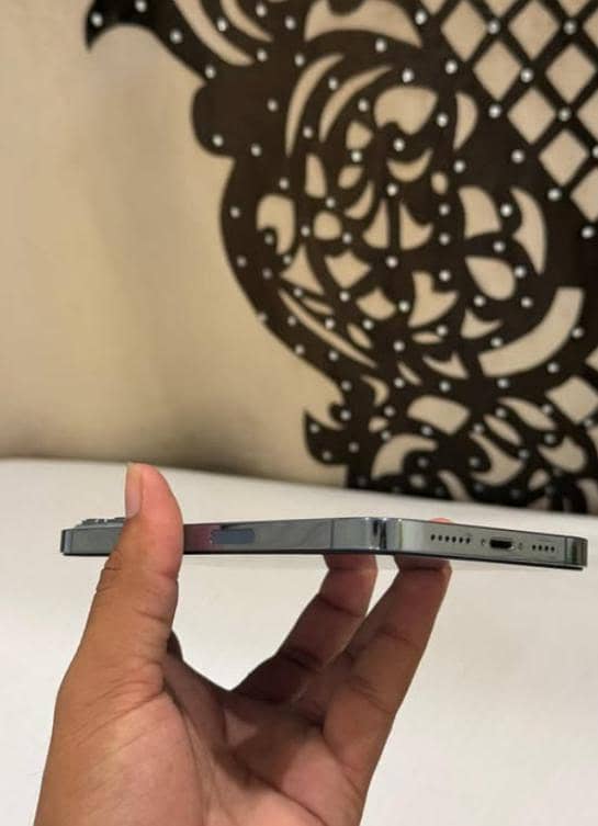 Apple iPhone 13 Pro Max 1