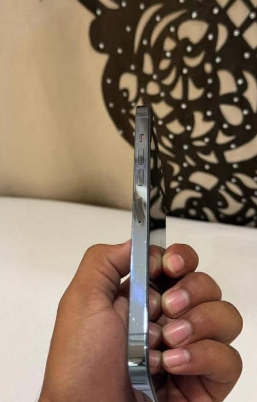Apple iPhone 13 Pro Max 2