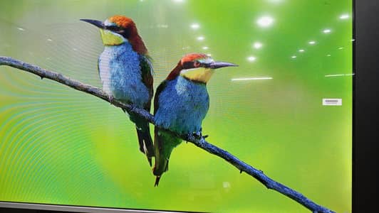 Samsung 43 inch 4k QLED smart tv