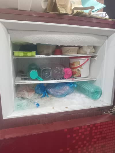 pel fridge medium size, gass issue,