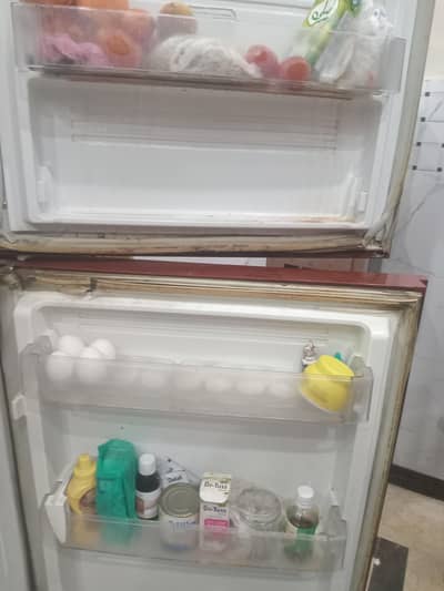 pel fridge medium size, and deep freezer 1 door