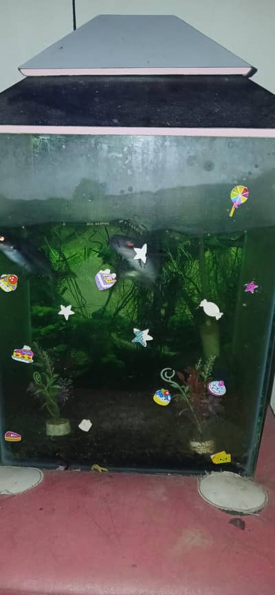 Aquarium with Fishes