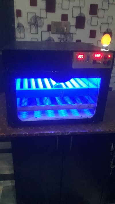 30 watt 80 egg automatic PVC incubator and brooder