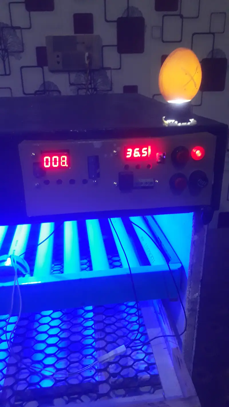 30 watt 80 egg automatic PVC incubator and brooder — photo 2