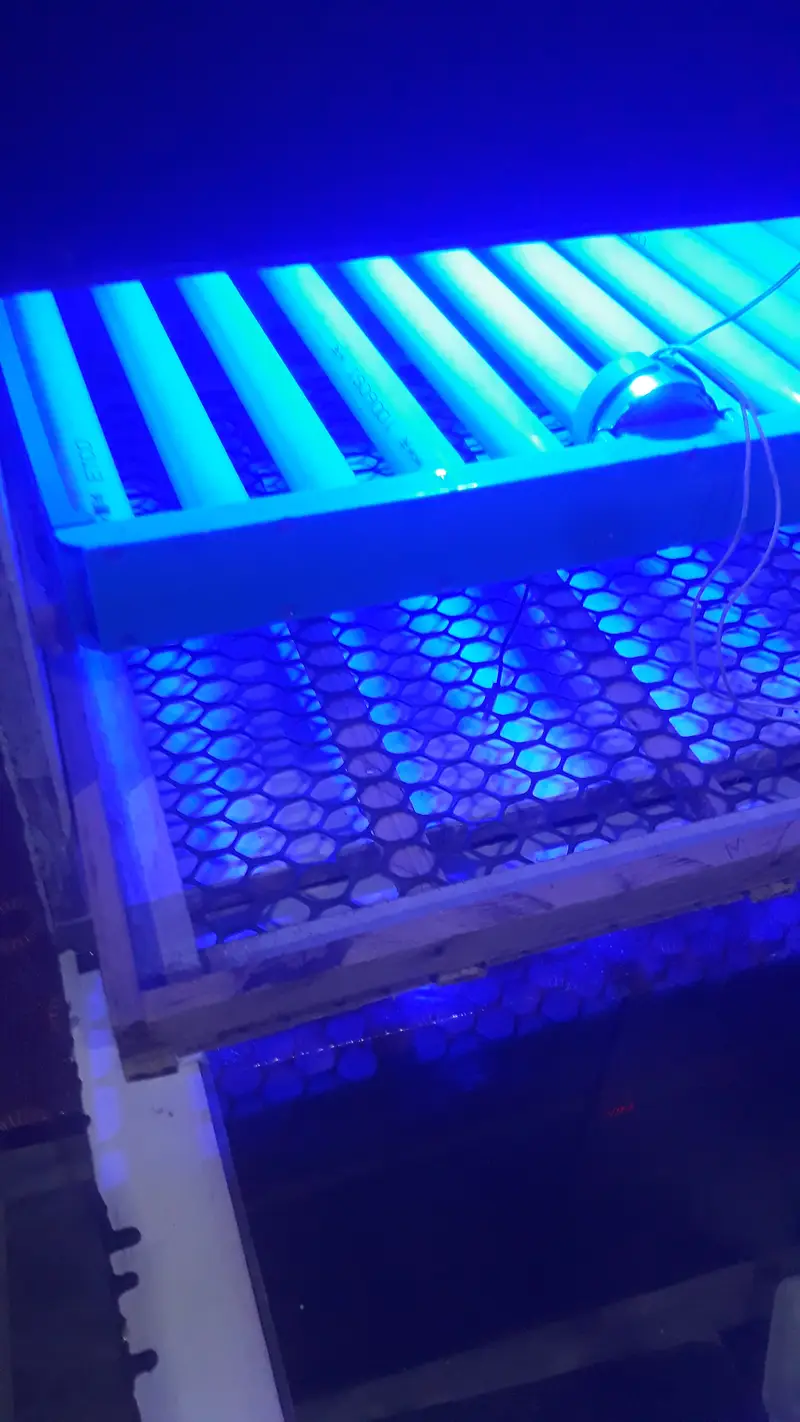 30 watt 80 egg automatic PVC incubator and brooder — photo 3