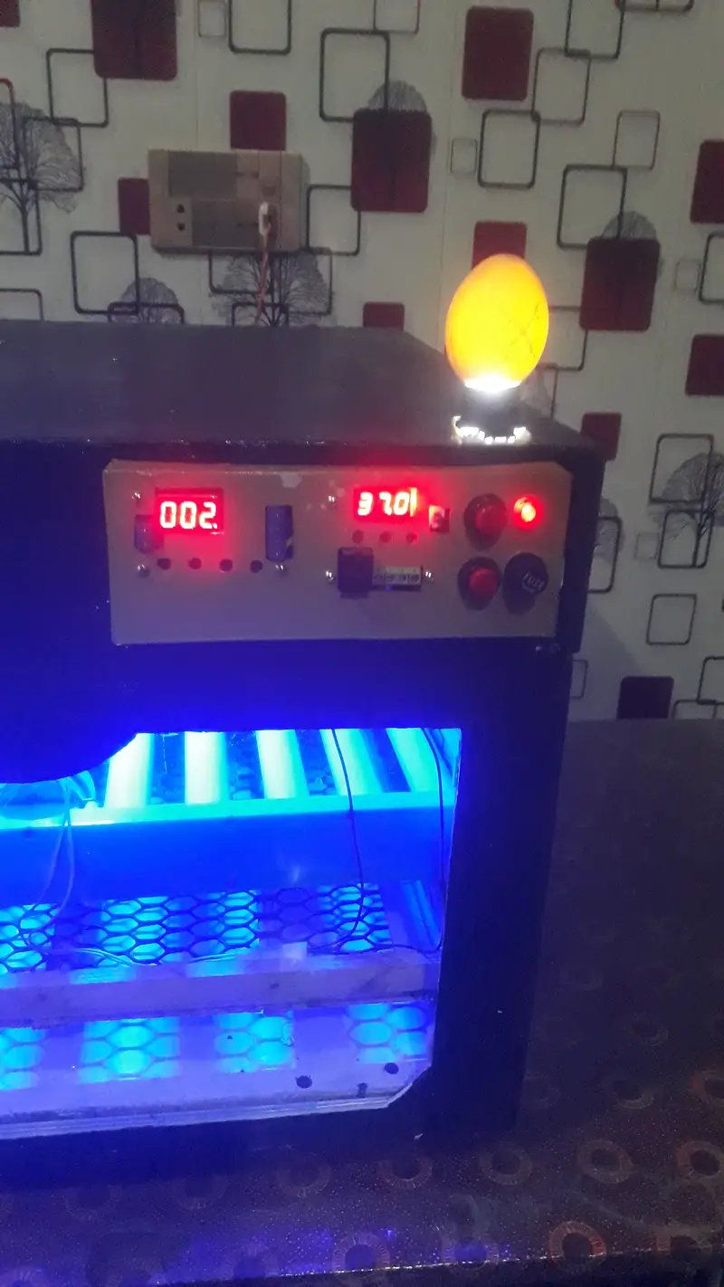 30 watt 80 egg automatic PVC incubator and brooder — photo 6