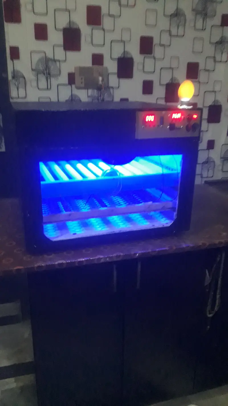 30 watt 80 egg automatic PVC incubator and brooder — photo 7